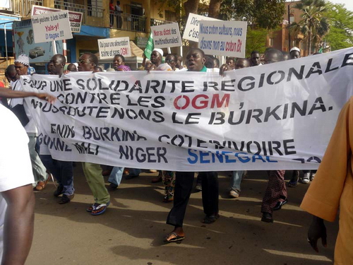 Marche_OGM_Burkina.jpg